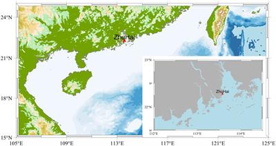 A ConvLSTM nearshore water level prediction model with integrated attention mechanism